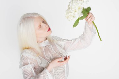 Guipure bluzlu albino kadın elinde ortanca çiçeği beyaz üzerinde izole edilmiş.