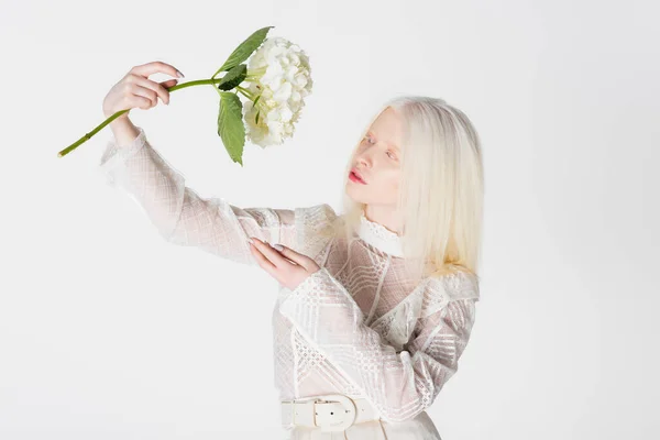 Mujer Albina Bonita Mirando Flor Hortensia Aislada Blanco —  Fotos de Stock