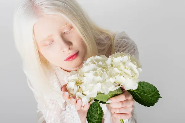 Top view of albino model in blouse holding hydrangea flower isolated on white