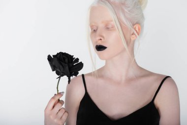 Siyah dudaklı güzel genç albino kadın beyaz gül izole bakıyor.