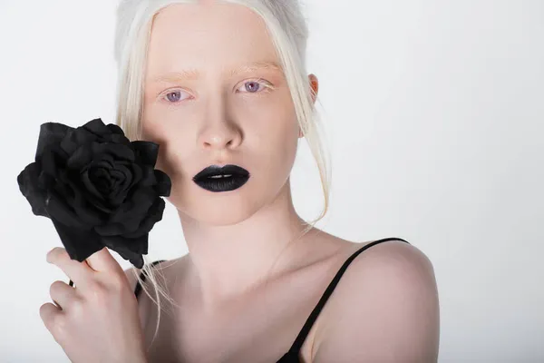Albino Mujer Rubia Sosteniendo Rosa Negra Aislada Blanco —  Fotos de Stock