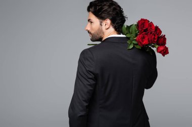 Takım elbiseli sakallı adam, gri üzerine izole edilmiş kırmızı gül buketi tutuyor.