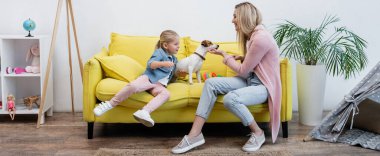 Family petting jack russell terrier near toys at home, banner 