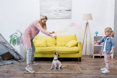 Smiling mom and kid holding colorful slinky near jack russell terrier at home 