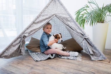 Kid hugging jack russell terrier in tepee at home  clipart