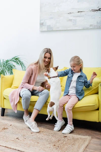 Jack russell terrier jumping near girl and woman at home