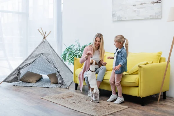 Smiling Woman Feeding Jack Russell Terrier Daughter Home — Foto de Stock