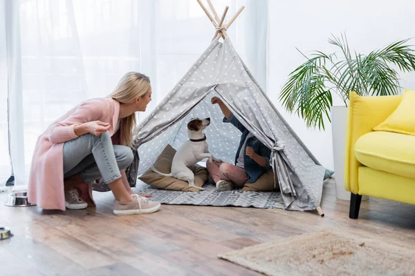 Kid Jack Russell Terrier Playing Tent Smiling Mom Home — Stockfoto