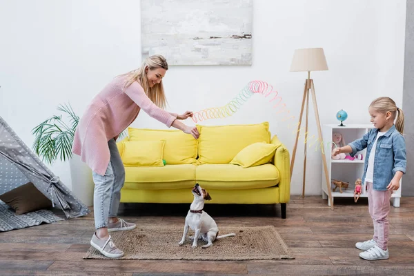Smiling Mom Kid Holding Colorful Slinky Jack Russell Terrier Home — ストック写真