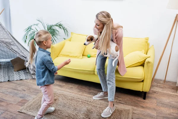 Positive Parent Holding Jack Russell Terrier Kid Home — Stock Photo, Image