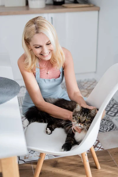 Positive Woman Apron Petting Cat Chair Home — Stock Photo, Image