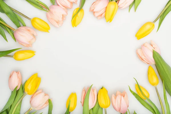 Top View Colorful Tulips Isolated White — Stock Photo, Image