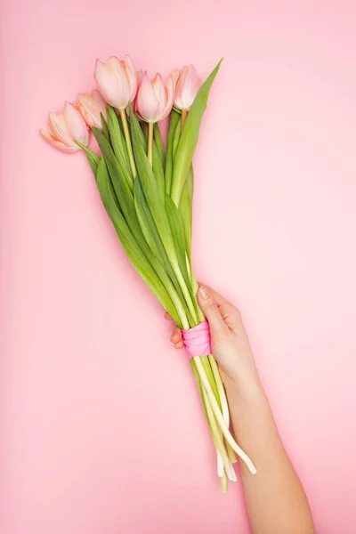 cropped view of woman holding tulips on pink
