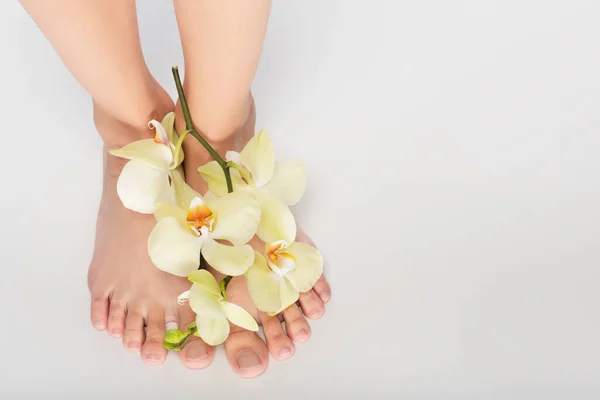 Teilansicht Einer Frau Mit Orchidee Füßen Auf Weißem Hintergrund — Stockfoto