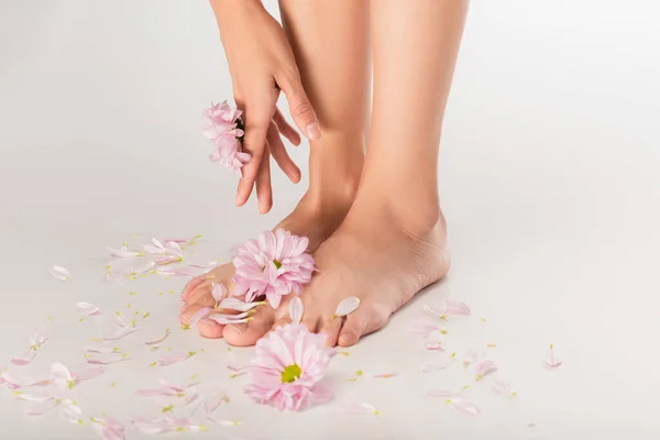 Chrysanthemenblüten Und Blütenblätter Der Nähe Von Füßen Einer Beschnittenen Frau — Stockfoto