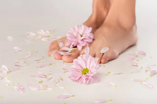 Teilansicht Weiblicher Beine Der Nähe Von Chrysanthemenblüten Und Blütenblättern Auf — Stockfoto