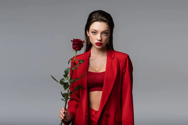 Młoda Kobieta Czerwonym Garniturze Gospodarstwa Róża Odizolowana Szarości — Zdjęcie stockowe