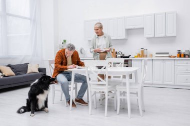 Gülümseyen son sınıf öğrencisi kadın, kocasının yanında tabak tutuyor ve mutfakta da Sınır Köpeği var. 