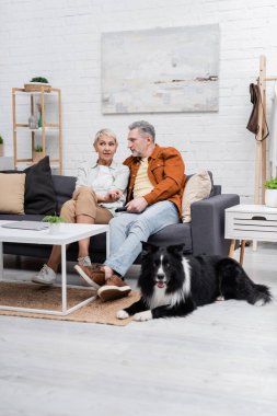 Çift, dizüstü bilgisayarın yanında televizyon izlerken konuşuyor ve evde çoban köpeği var. 