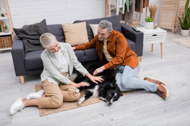 Mutlu çift oturma odasında kanepenin yanında çoban köpeğini okşuyor. 
