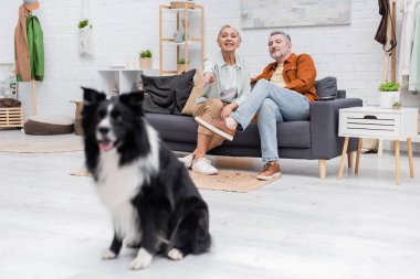 Üst düzey bir kadın evdeki koltukta kocasının yanında bulanık bir sınır köpeğini işaret ediyor. 