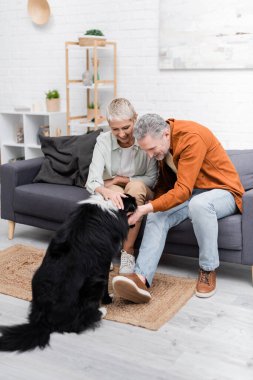 Mutlu çift evdeki kanepede köpeğini okşuyor. 