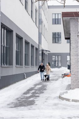 Kış kıyafetli bir çift, şehir sokağında tasmalı bir çoban köpeğini gezdiriyor. 