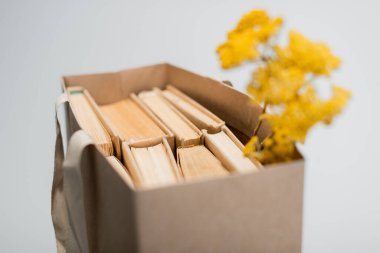 Kitaplarla dolu bulanık bir alışveriş çantası ve gri üzerine izole edilmiş kurutulmuş sarı çiçekler.