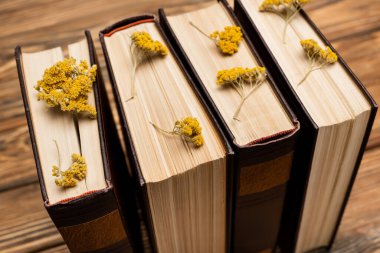 close up view of dried yellow flowers and books on blurred wooden surface clipart