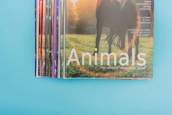 Vista Superior Revistas Animales Colores Aislados Azul — Foto de Stock