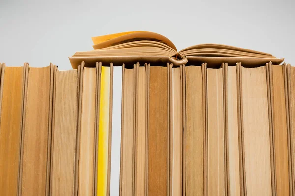 Row Books Collection Isolated Grey — Stock Photo, Image