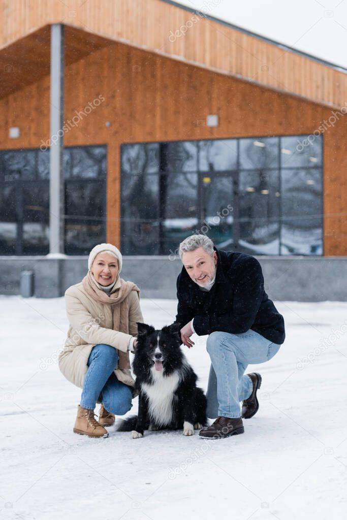 Positive couple in winter outfit looking at camera near border collie on snow outdoors 