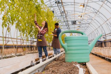 Watering can on ground near blurred interracial farmers in greenhouse  clipart