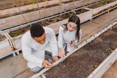 Overhead view of multiethnic laboratory assistants taking analysis of ground in greenhouse  clipart