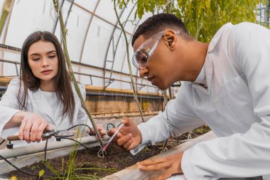 African american botanist in goggles holding syringe near colleague with secateurs and plants in greenhouse  clipart