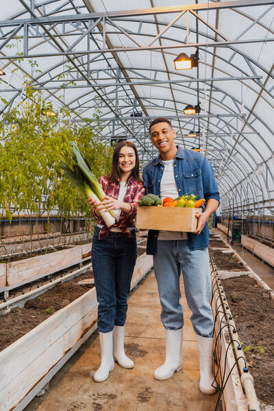 Multiethnic farmers holding organic vegetables in greenhouse 