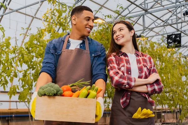 Cheerful interracial farmers in aprons holding fresh vegetables and looking at each other in greenhouse
