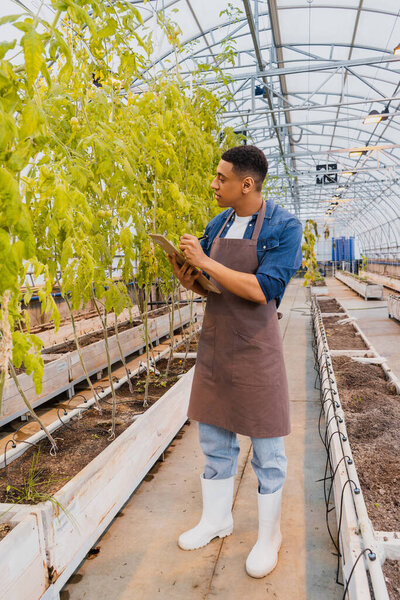 Side view of african american farmer writing on clipboard near plants in greenhouse 