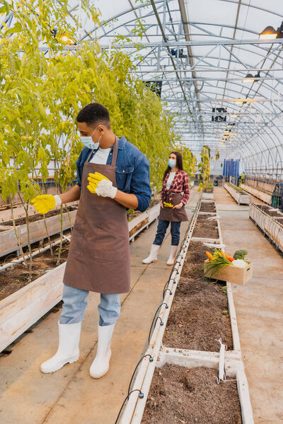 African american farmer in medical mask and gloves standing near plants and colleague in greenhouse 