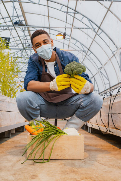 African american farmer in medical mask holding broccoli near box with vegetables in greenhouse 
