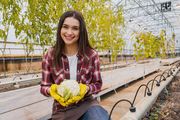 Positive farmer in apron and gloves holding cauliflower in greenhouse 