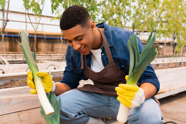 African american farmer in apron holding leek in greenhouse 