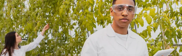 Africano Americano Botânico Óculos Casaco Branco Segurando Tablet Digital Estufa — Fotografia de Stock