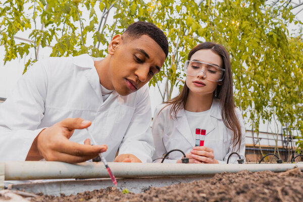 African american laboratory assistant taking analysis of ground near colleague with test tubes in greenhouse 