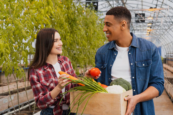 Улыбающийся фермер с морковью и помидорами рядом с африканским американским коллегой с коробкой в теплице 