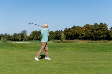 full length of asian senior man playing golf on green lawn  clipart