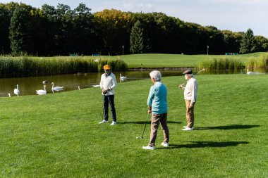 Göl kenarında kuğularla golf oynayan yaşlı çoklu etnik erkekler 