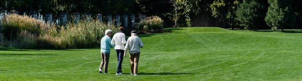 Rückseite Von Senioren Interracial Friends Walking Green Field Golf Clubs — Stockfoto