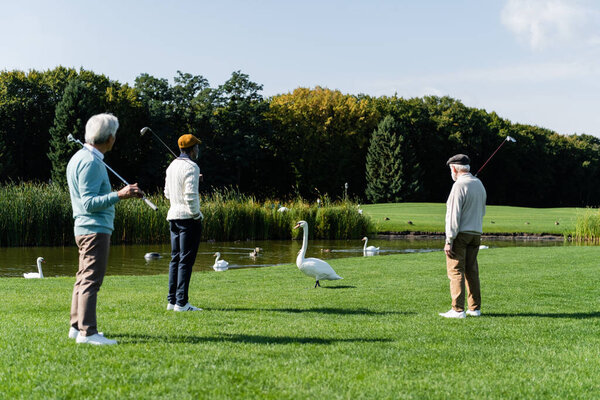 back view of senior multiethnic men with golf clubs standing on green lawn near swan