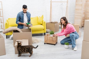Bengal kedisinin yanında paketleri boşaltan pozitif ırklar arası bir çift. 